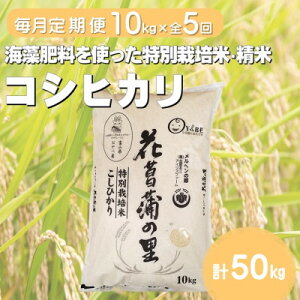 【ふるさと納税】【毎月定期便】特別栽培米コシヒカリ(花菖蒲の里)(精米)10kg全5回【4075016】