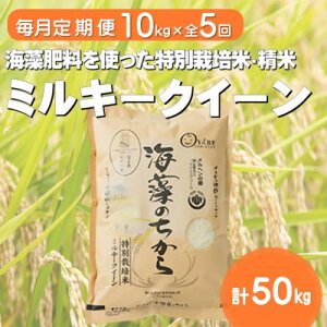 【ふるさと納税】【毎月定期便】ミルキークイーン(海藻のちから)(精米)10kg全5回【4075148】