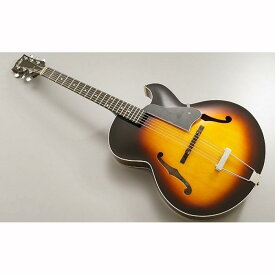 【ふるさと納税】【ギター】S.Tsuji　P-1 Model《南砺の逸品》