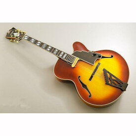 【ふるさと納税】【ギター】S.Tsuji　DA-17　Model《南砺の逸品》
