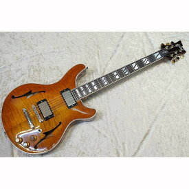 【ふるさと納税】【ギター】S.Tsuji　TS-13　Model《南砺の逸品》