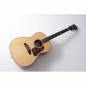 【ふるさと納税】【ギター】S.Tsuji WSG-1　《南砺の逸品》