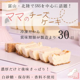 【ふるさと納税】【濃厚だけど後味すっきり！】とろける食感のママのチーズケーキ