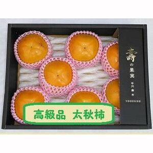yӂ邳Ɣ[ŁzÊ`@H`5L×7i2.5kgȏj ϑ唠y2025N1017蔭z |  JL t[c ʕ  H ʕ Hi _ {Mtg Hʕ xRY VN ʎ 