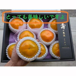 yӂ邳Ɣ[ŁzÊ`@H`4L×8i2.45kgȏj ϑ唠y2025N1017蔭z |  JL t[c ʕ  H ʕ Hi _ {Mtg Hʕ xRY VN ʎ 