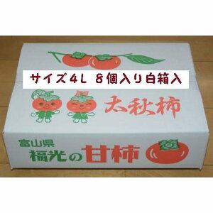 yӂ邳Ɣ[ŁzÊ`@H`4L×8i2.45kgȏj y2025N1017蔭z |  JL t[c ʕ  H ʕ Hi _ {Mtg Hʕ xRY VN ʎ n