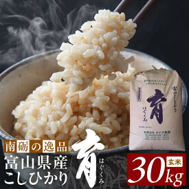【ふるさと納税】【令和7年産】富山県産こしひかり　育（はぐくみ）玄米30kg《南砺の逸品》