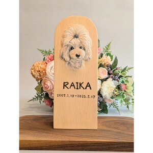 yӂ邳Ɣ[Łzؒ ybĝʔv | I[_[Ch ybg AObY ybgObY ؒ ʔv ʔv ybg{ A ObY  L ̋ lC  