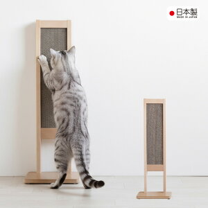 �y�ӂ邳�Ɣ[�Łz�u�ؐ� �܂Ƃ��X�^���h�v | �܂Ƃ� �܌��� �_���{�[�� �L �˂� �L�p�i �y�b�g �Ƌ� �C���e���A �ȃX�y�[�X ���p�� �ϋv�� �l�C �������� ��������