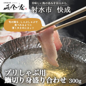 yӂ邳Ɣ[Łzyːszyː̂HizyCNzuԗp@ܐ؂g荇킹 300g@ւ̔zs