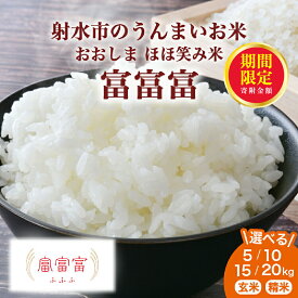 【ふるさと納税】＼選べる品種・内容量／【R7年度産米】総理大臣賞受賞 人気のブランド米「富富富」5kg～20kg【精米】【玄米】｜お米 令和7年産米 ブランド米 銘柄米 こめ 5キロ 10kg 10キロ 15kg 15キロ 20キロ 白米 送料無料 富山県産 射水市産