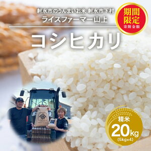 yӂ邳Ɣ[Łz_Ԍ񕍊z^R7NYRVqJ20kgi5kg×4jbːs CXt@[}[R _ƒ ː̔  ւ̔zs 2025N9{`10{ɏ