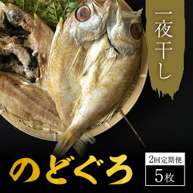 【ふるさと納税】のどぐろ 定期便 2ヶ月 一夜干し 5枚×2回お届け 富山 干物 ひもの 国産 ノドグロ 惣菜 おかず ごはんのお供 加工食品 冷凍 冷凍食品 魚 魚介類 魚介 海産物 定期 お楽しみ 2回　【定期便・ 富山県射水市 】