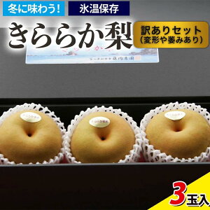 yӂ邳Ɣ[Łz[󂠂Zbg]~ɖ키I񂪍Xۑ炩 3ʓ 2025N12{`2026N4{ɏ\ ւ̔zs