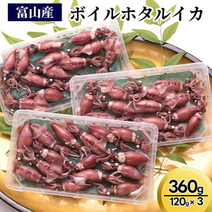 yӂ邳Ɣ[Łzy2026N3{ȍ~zxRY{Cz^CJ360gi120g×3j| L CJ HHi z^CJ ق邢 Eւ̔zs 2026N3{`5{ɏ