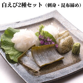 【ふるさと納税】白えび2種セット（刺身、昆布締め）　海老 エビ 白えび※沖縄・離島への配送不可