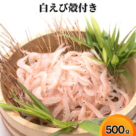 【ふるさと納税】白えび殻付き500g　海老 エビ 白えび殻付き　※沖縄・離島への配送不可
