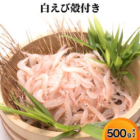 【ふるさと納税】白えび殻付き500g×2　海老 エビ 白えび殻付き　※沖縄・離島への配送不可