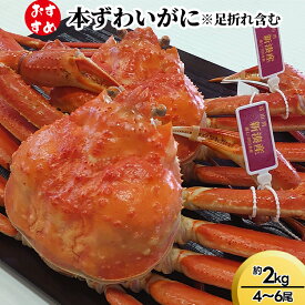 【ふるさと納税】【おすすめ】本ずわいがに約2kg（4〜6尾）※足折れ含む　ずわい蟹 ずわいガニ ズワイガニ ※2025年11月中旬～2026年3月中旬頃に順次発送予定