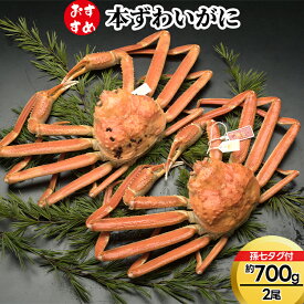 【ふるさと納税】【おすすめ】本ずわいがに約700g×2尾（孫七タグ付き）　ずわい蟹 ずわいガニ ズワイガニ ※2025年11月中旬～2026年3月中旬頃に順次発送予定
