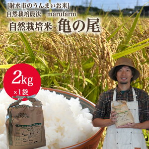 yӂ邳Ɣ[Łzyː̔āzyR͔|_@zR͔|_ marufarm R͔|āuT̔v2kg ւ̔zs