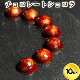 【ふるさと納税】チョコレート ショコラ10個入/パティスリーサクライ/菓子 チョコ ショコラ お酒 ウイスキー 北陸 /富山県射水市　 射水市