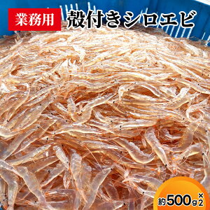 yӂ邳Ɣ[ŁzƖpktVGr500g×2@CV Gr  CN