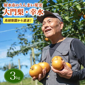 【ふるさと納税】射水の鳥越梨園から直送！【大門梨（幸水）】3kg　【梨 ナシ 果物 フルーツ 先行予約】 ※2026年8月～発送