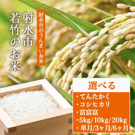 【ふるさと納税】＼選べる品種・内容量・配送回数／【R8年度産米 新米予約】人気のブランド米 コシヒカリ 富富富 てんたかく 「若竹のお米」 5kg 10kg 20kg 【精米】｜米 新米 先行予約 令和8年産米 ブランド米 銘柄米 こめ 5キロ 10キロ 20キロ 白米 先行予約 送料無料