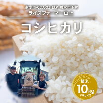楽天市場】米農家 コシヒカリの通販