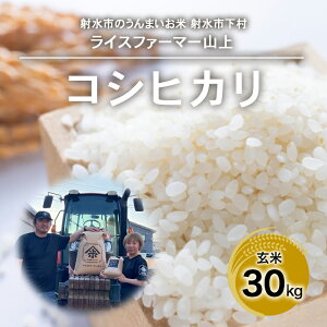 yӂ邳Ɣ[ŁzyːszyCXt@[}[Rzy_ƒzyː̔āzR7NYRVqJ30kgyāz ւ̔zs 2025N9{`10{ɏ\