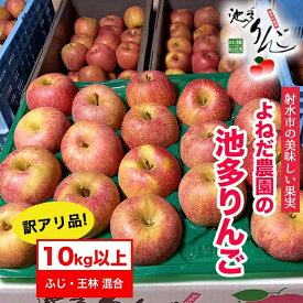 【ふるさと納税】【射水のおいしい果実】【林檎】 よねだ農園の池多りんご ふじ・王林 訳アリ品10kg以上 ※沖縄・離島への配送不可 ※2025年11月中旬～12月中旬頃に順次発送予定