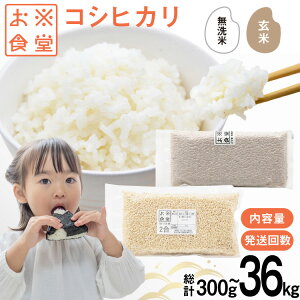 yӂ邳Ɣ[Łz  RVqJ yIׂe  񐔁z [ĐH xR M 57050223]    R  ꕪÂ    ͂ ~ ۑ xRY  