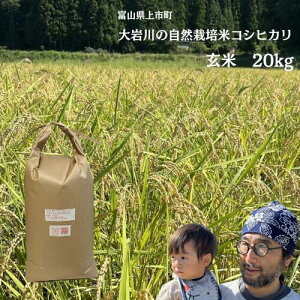 yӂ邳Ɣ[Łz ̎R͔|ăRVqJ  20kg [LgR_ xR s 32280209-r6]  R  ͂ Ђ R͔| xRY