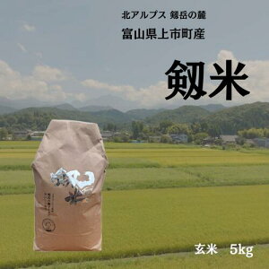 yӂ邳Ɣ[Łzyߘa7NYzsYRVqJuāviāj5kg@ [\GH xR s 32280235-r6-03] @ R  ͂ Ă Ă͂ Ђ xRY