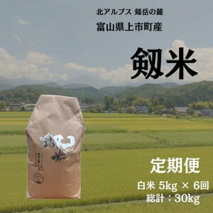 yӂ邳Ɣ[Łzy1񂨓͂zyցzyߘa7NYzsYRVqJuāviāj5kg x 6 v30kg@ [\GH xR s 32280254-r6-03z  6 6 w  