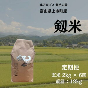 yӂ邳Ɣ[Łzy1񂨓͂zyցzyߘa7NYzsYRVqJuāviāj2kg x 6 v12kg@ [\GH xR s 32280253-r6-01z  6 6 w  