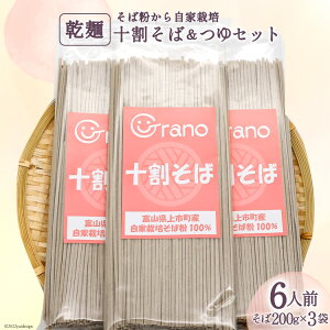 yӂ邳Ɣ[Łz\΁Zbg6lO 200g×3 40g×6 / O[m / xR s [32280061] \ \  \o   Y 퉷