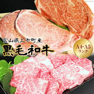 yӂ邳Ɣ[ŁzyA4A5јaz[XXe[L 500g  [XXCX 300g [̗R xR s 32280017] Xe[L Ă Ԃ  a јa Ⓚ