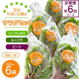 【ふるさと納税】立山やさい工房のサラダセット（60g×6袋）の定期便年6回コース 富山県 立山町 F6T-250