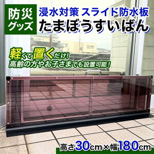 yӂ邳Ɣ[ŁzhЃObY Z΍ XChh ܂ڂ΂ (30cm×180cm) h ŷ Zh~ Q΍ h hЗpi Nicoldsystem F6T-377