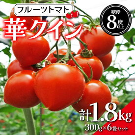 【ふるさと納税】先行予約 フルーツ トマト「華クイン」300g × 6袋 セット 季実どり tomato とまと ミニトマト 野菜 詰め合わせ フルーツトマト 美味しい 早朝収穫 即日出荷 朝採れ 富山県 立山町 ★レビューキャンペーン実施中★ F6T-389