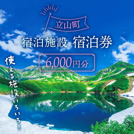 【ふるさと納税】リピーター多数★ 宿泊券 山小屋含む宿泊施設 6,000円分 富山 とやま 立山 たてやま 登山 山登り 山歩き トレッキング アルペンルート 商品券 チケット 宿 宿泊 温泉 旅行 旅 観光 6000 6000円 富山県 立山町 F6T-431