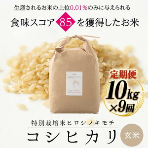 �y�ӂ邳�Ɣ[�Łz�y��s�\��z�y9�����z���ʍ͔|�� �R�V�q�J�� �q���V�m�L���` ���� 10kg ���v90kg �z��� �� ���� �R�� ���� ���͂� �x�R���Y �x�R�� ���R�� F6T-898