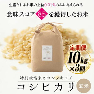 yӂ邳Ɣ[Łzys\zy3zʍ͔| RVqJ qVmL`  10kg v30kg z   R  ͂ xRY xR R F6T-896