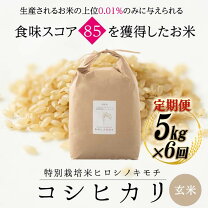 楽天市場】富山 コシヒカリ 玄米 30kgの通販
