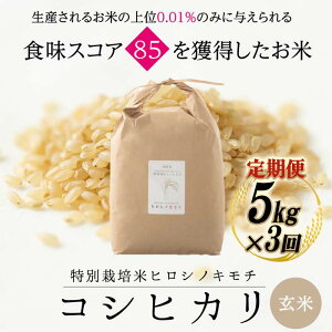 yӂ邳Ɣ[Łzys\zy3zʍ͔| RVqJ qVmL`  5kg v15kg z   R  ͂ xRY xR R F6T-893