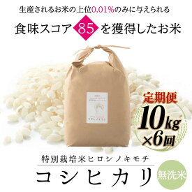 【ふるさと納税】【6回定期】特別栽培米 コシヒカリ ヒロシノキモチ 無洗米 10kg 総計60kg 陽咲玲 米 お米 コメ 無洗米 ご飯 ごはん 富山県産 富山県 立山町 F6T-934