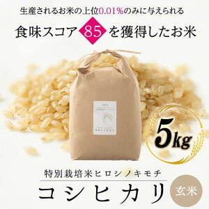 yӂ邳Ɣ[Łzys\zʍ͔| RVqJ qVmL`  5kg uh  Y   { Mtg 蕨 ~ h Hi z ͂邴 F6T-878