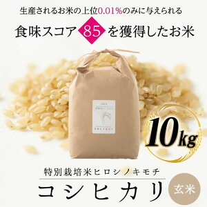 yӂ邳Ɣ[Łzys\zʍ͔| RVqJ qVmL`  10kg uh  Y   { Mtg 蕨 ~ h Hi z ͂邴 F6T-879